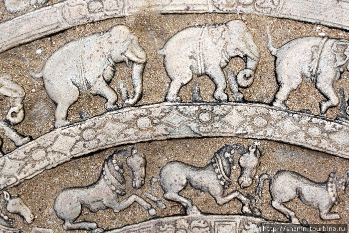 Фрагмент лунного камня: священные животные — лошади и слоны Полоннарува, Шри-Ланка