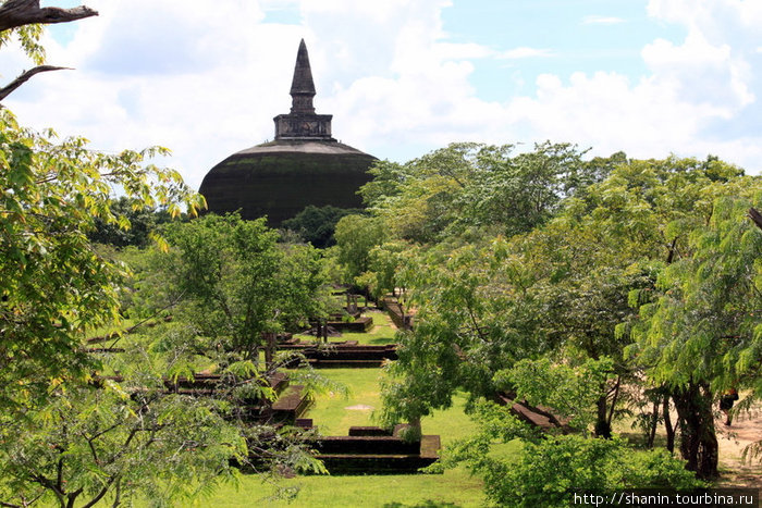 Дагоба Кири-вихара прячется за деревьями Полоннарува, Шри-Ланка