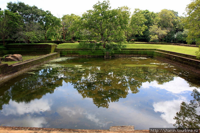 Священный пруд для омовений монахов — часть когда-то огромных водных садов у основания Сигирии Сигирия, Шри-Ланка
