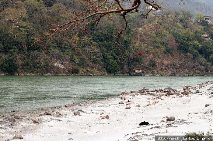 Goa Beach в Ришикеше Ришикеш, Индия