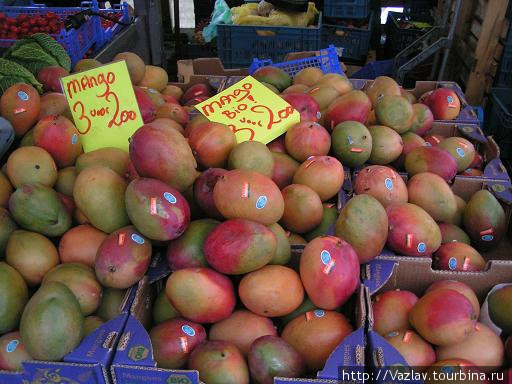 Ах, какие сочные манго... Лейден, Нидерланды
