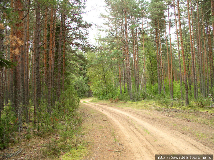 Устюженские края в сентябре Устюжна, Россия