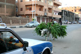 Обычная картинка для Луксорской улицы