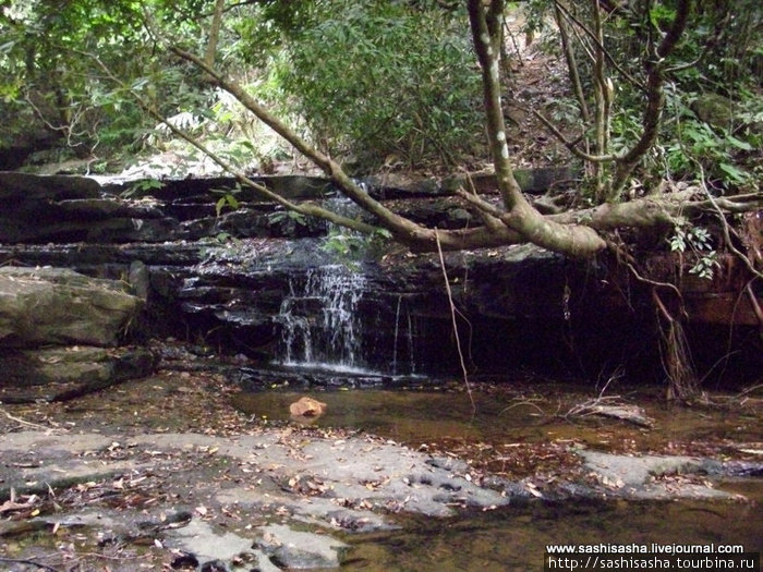 По пути на плато вам сначала придется пройти по джунглям, но прогулку сопровождают водопады. Кампот, Камбоджа