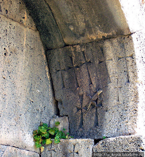 Кавказская агама на стене монастыря Татев, Армения