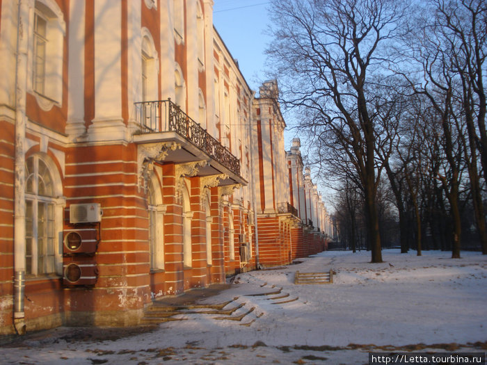 8 марта - утро в Питере Санкт-Петербург, Россия