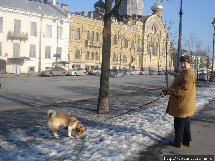 Прогулка вдоль реки Санкт-Петербург, Россия