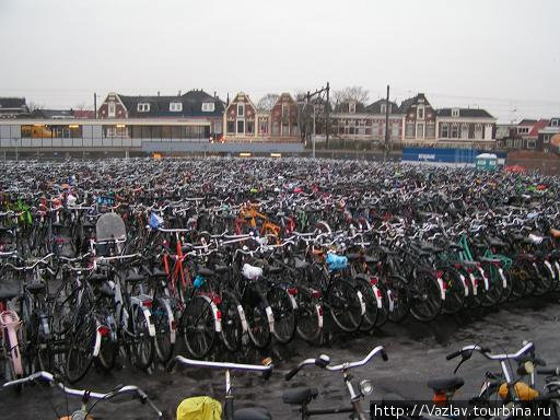 Бескрайние стада велосипедов Делфт, Нидерланды