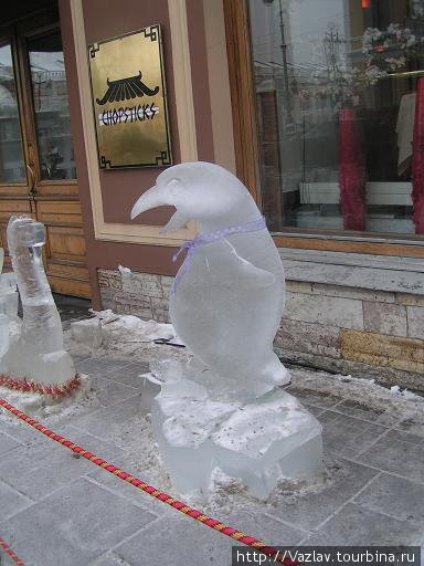 Пингвин Санкт-Петербург, Россия