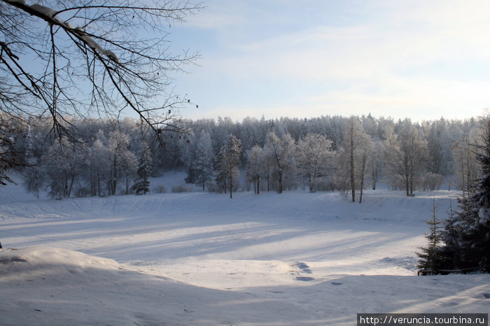 Зимний парк Павловск, Россия