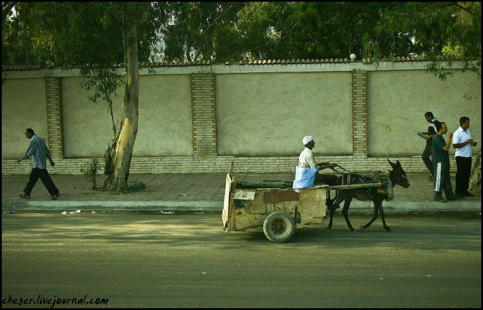 Вот таких вот тележек очень много ездит по городу Каир, Египет
