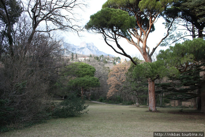 алупкинский парк Алупка, Россия