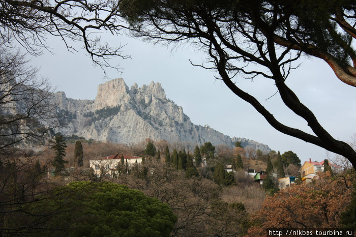 алупкинский парк Алупка, Россия