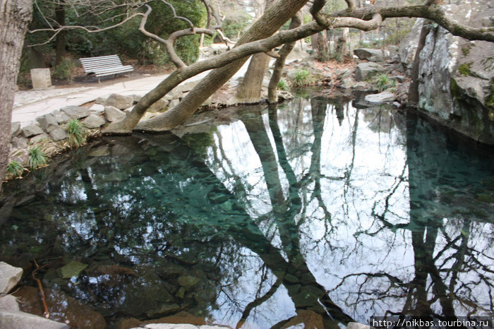 алупкинский парк Алупка, Россия