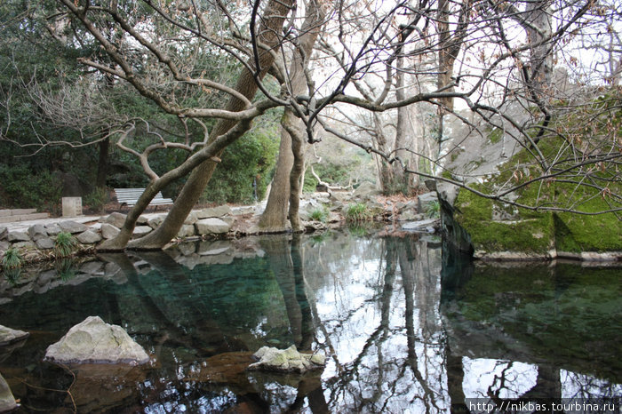 алупкинский парк Алупка, Россия