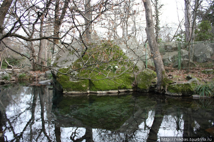 алупкинский парк Алупка, Россия