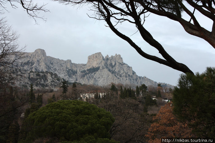 алупкинский парк Алупка, Россия