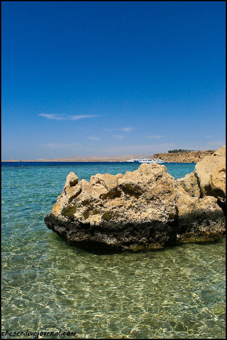 Красное море, Эль Фанар Шарм-Эль-Шейх, Египет