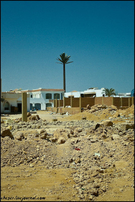 Стройка тут везде! А под пальмой маскируется сотовая вышка Шарм-Эль-Шейх, Египет