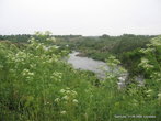 Река Южный Буг в районе Грушевки (Первомайский р-н).