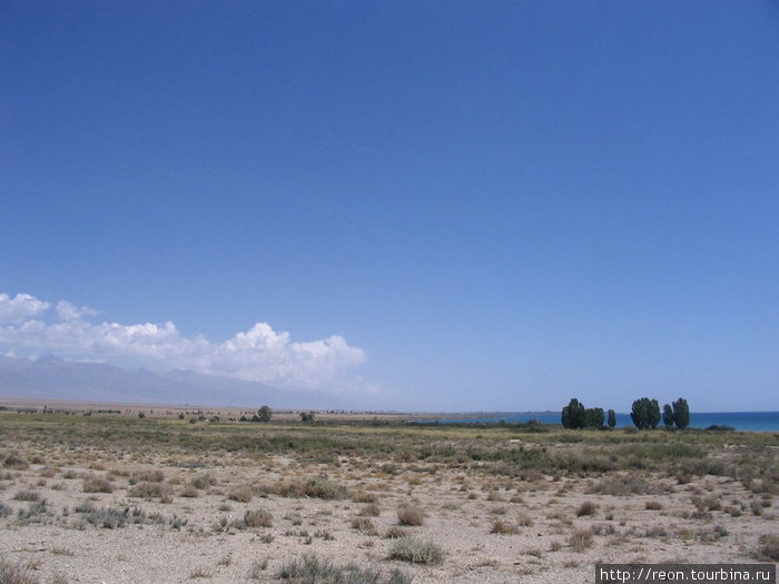 Недалеко от берега Иссык-Куля (он немного виден справа) Иссык-Кульская область, Киргизия