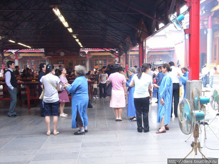 Поесть змей, увидеть сокровища императоров Тайбэй, Тайвань