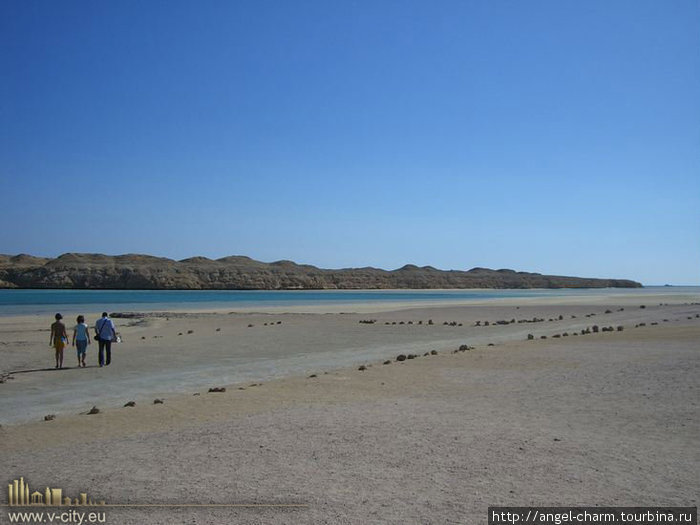 Увлекательная поездка в Заповедник Рас-Моххамед Провинция Красное Море, Египет