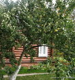 Для посетителей во дворе главного дома стоят две большие коробки со свежими ароматными яблоками из Чеховского сада.