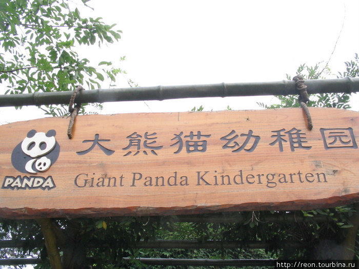 Пандовый детский сад :) Чэнду, Китай