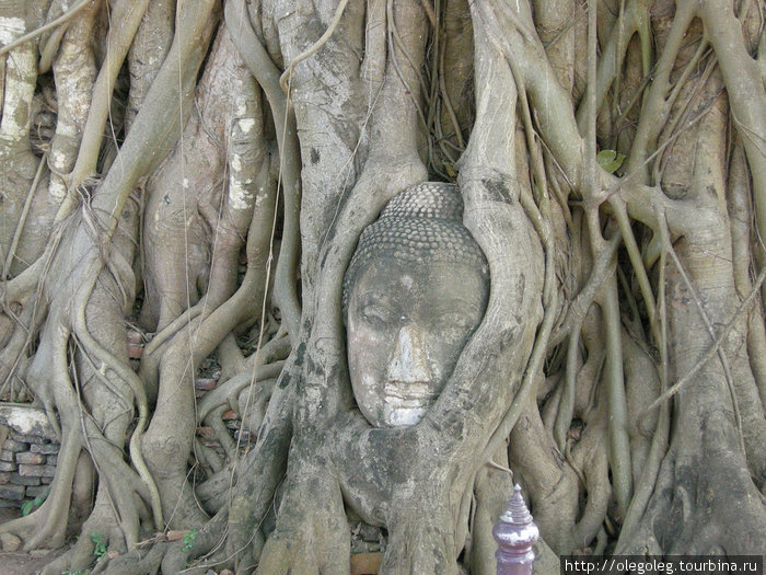 Экскурсия по всемирному наследию. Часть 3. 11/2008 Аюттхая, Таиланд