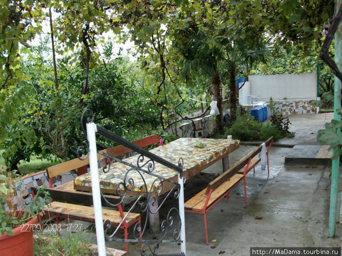 Большой стол в виноградной беседке для отдыхающих Пицунда, Абхазия