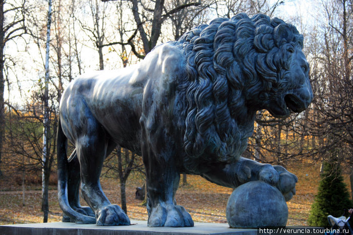 И снова лев из Нижнего парка. Санкт-Петербург, Россия