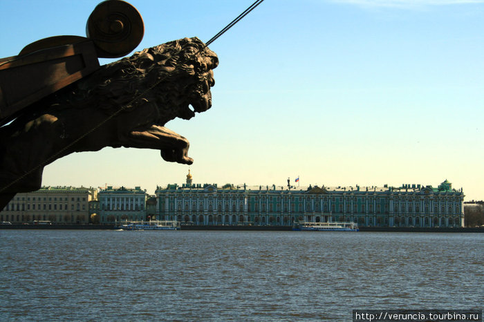 А этот лев, парящий над Невой с Летучего голландца. Санкт-Петербург, Россия