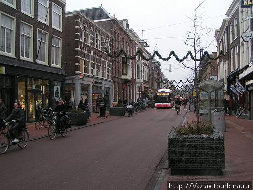 Проезжая часть отдана в основном велосипедам Лейден, Нидерланды