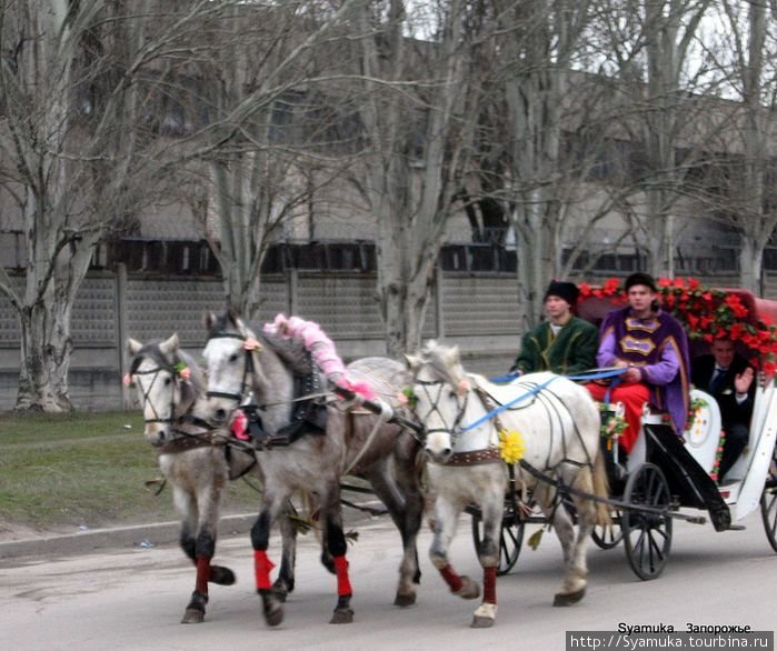 Свадебный кортеж. Все по-настоящему. Запорожье, Украина