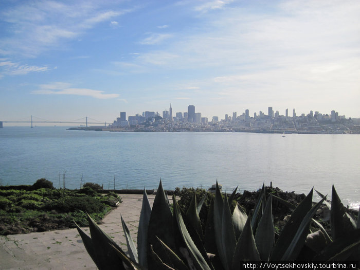 Вид из Алькатраса на Сан-Франциско. 
Что называется — веслом подать... Сан-Франциско, CША