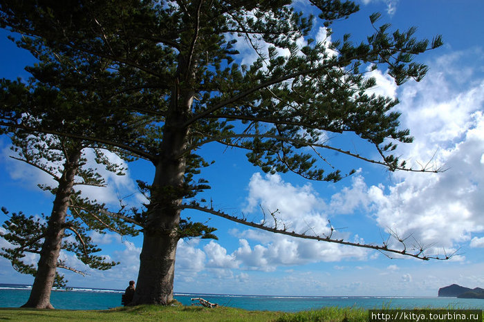 Галапагосы Австралии Остров Лорд-Хау, Австралия