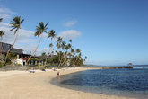 Пальмы, солнце и океан- таких видов на Фиджи много