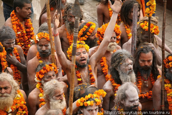 В Индию на фестиваль Кумбх Мела. 4 Харидвар, Индия