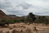 Типичный пейзаж в пустыне Низва.