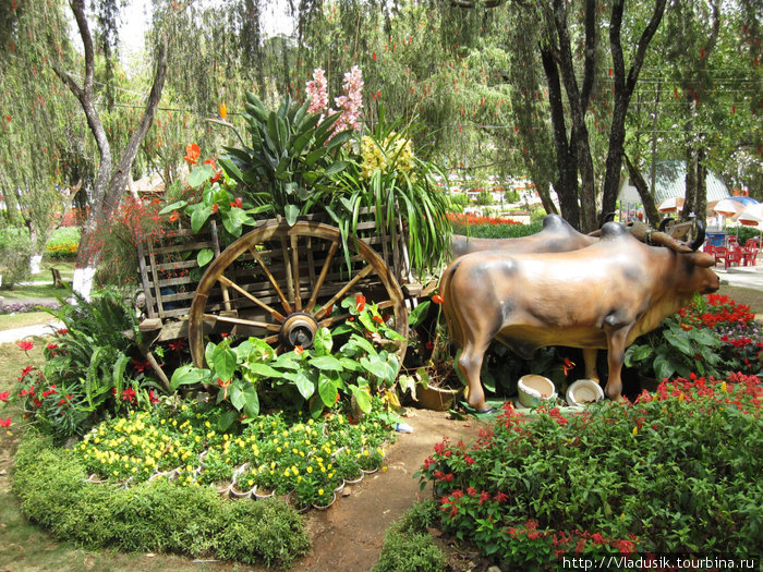 Цветочный рай Далат, Вьетнам