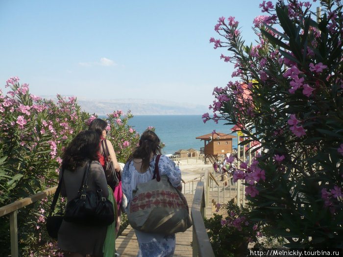 Мертвое море и Кумран Кумран, Израиль