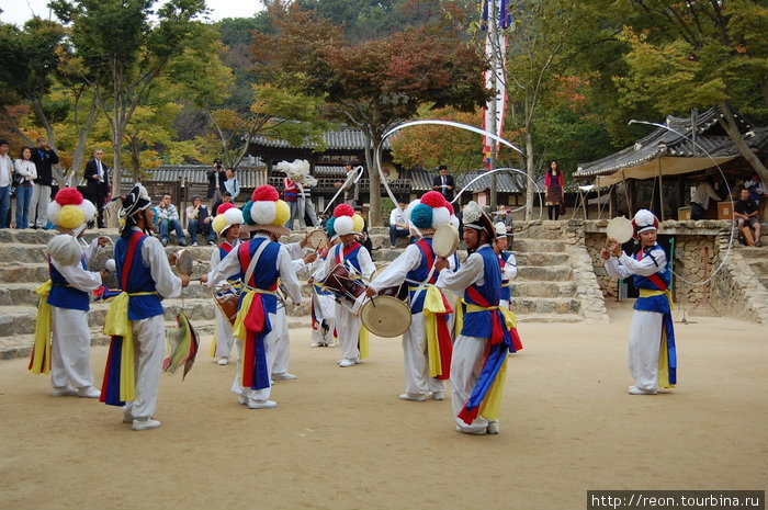 Летающие корейцы Сувон, Республика Корея