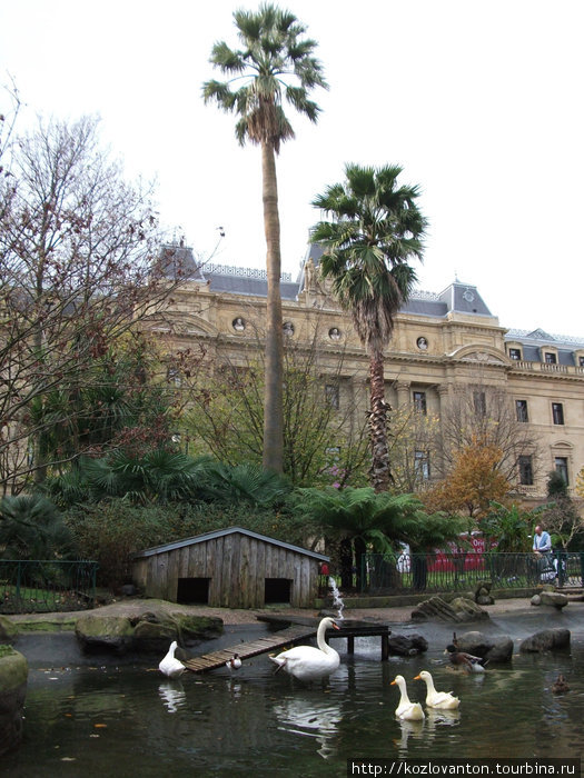 Уголок природы в центре города. На заднем плане — здание городского собрания депутатов. Сан-Себастьян, Испания