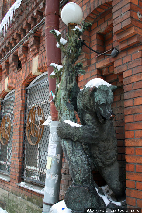 Медведь на Достоевского. Санкт-Петербург, Россия