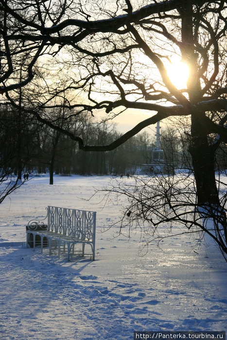 В зимнем Царскосельском парке Пушкин, Россия