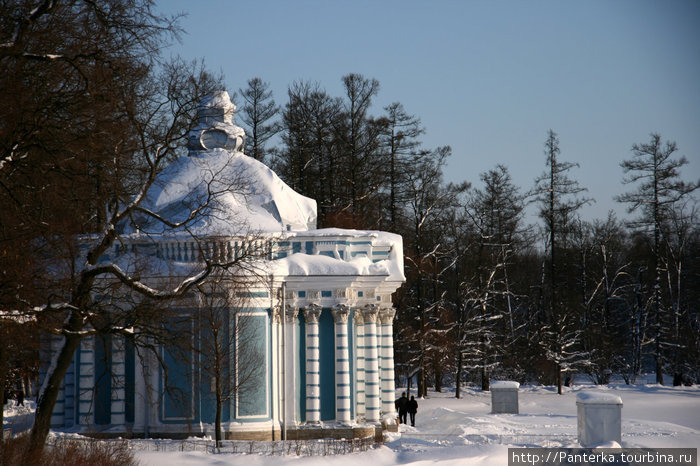 В зимнем Царскосельском парке Пушкин, Россия