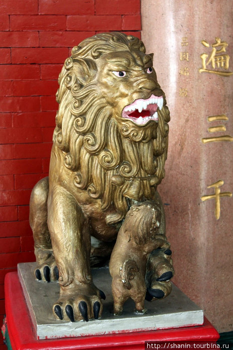 Лев у входа в китайский храм Манила, Филиппины