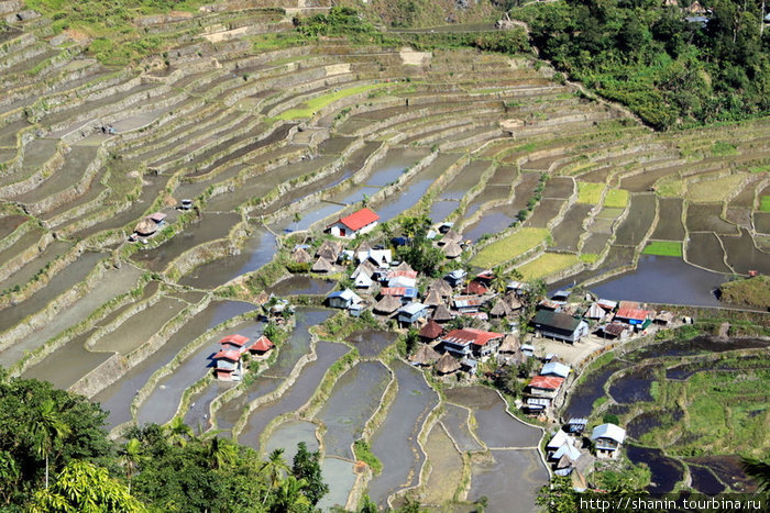 Крыши домов в Батаде и знаменитые рисовые террасы Банауэ Рисовые Террасы, Филиппины