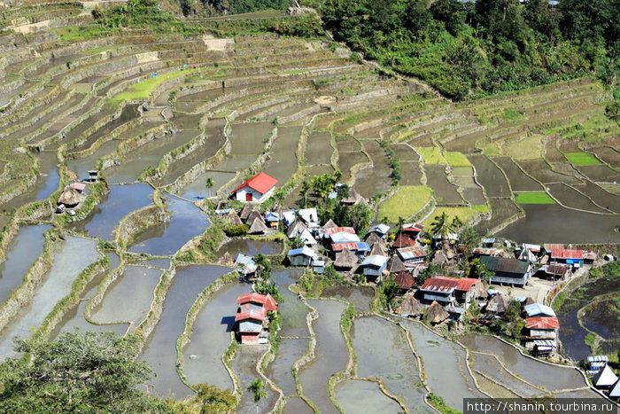 Рисовые террасы и Батад Банауэ Рисовые Террасы, Филиппины